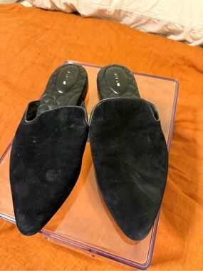 Birdies Black Suede Pointed Toe Mules